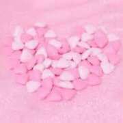 ヒメ日記 2025/04/20 22:15 投稿 なな 鹿児島ちゃんこ 薩摩川内店