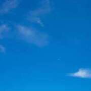 ヒメ日記 2025/05/08 07:31 投稿 なな 鹿児島ちゃんこ 薩摩川内店