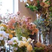 ヒメ日記 2025/09/07 14:30 投稿 なな 鹿児島ちゃんこ 薩摩川内店