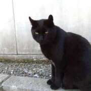 ヒメ日記 2025/10/28 13:00 投稿 なな 鹿児島ちゃんこ 薩摩川内店