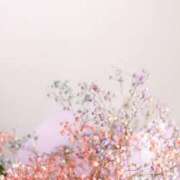 ヒメ日記 2025/11/04 19:15 投稿 なな 鹿児島ちゃんこ 薩摩川内店