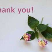 ヒメ日記 2025/11/18 21:21 投稿 なな 鹿児島ちゃんこ 薩摩川内店