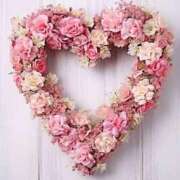 ヒメ日記 2025/11/22 21:22 投稿 なな 鹿児島ちゃんこ 薩摩川内店