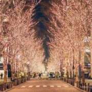 ヒメ日記 2025/12/24 15:01 投稿 なな 鹿児島ちゃんこ 薩摩川内店