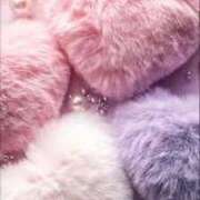 ヒメ日記 2026/01/17 23:47 投稿 なな 鹿児島ちゃんこ 薩摩川内店