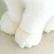 ヒメ日記 2026/02/17 13:02 投稿 なな 鹿児島ちゃんこ 薩摩川内店