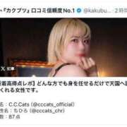 ヒメ日記 2024/06/26 00:00 投稿 ちひろ C.C.CATS