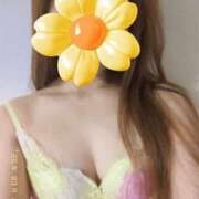 ヒメ日記 2025/03/24 22:55 投稿 滝澤 りこ 30代40代50代と遊ぶなら博多人妻専科24時