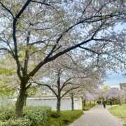 ヒメ日記 2026/04/09 21:12 投稿 しいな club Kiss