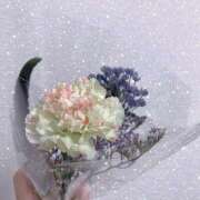 ヒメ日記 2025/04/02 15:04 投稿 レイコ Wonder7 (ワンダー7)