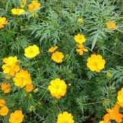 ヒメ日記 2025/02/25 21:13 投稿 すず 人妻小旅行