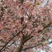 ヒメ日記 2025/03/26 17:42 投稿 すず 人妻小旅行