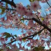 ヒメ日記 2025/04/07 18:52 投稿 すず 人妻小旅行