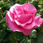 ヒメ日記 2025/05/26 19:22 投稿 すず 人妻小旅行