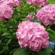 ヒメ日記 2025/06/20 20:42 投稿 すず 人妻小旅行