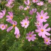 ヒメ日記 2025/08/28 20:07 投稿 すず 人妻小旅行