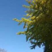 ヒメ日記 2025/11/10 17:27 投稿 すず 人妻小旅行