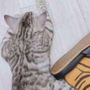 ヒメ日記 2025/05/15 15:01 投稿 ゆに【FG系列】 フィーリングin厚木【FG系列】