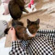 ヒメ日記 2025/05/17 00:49 投稿 ゆに【FG系列】 フィーリングin厚木【FG系列】