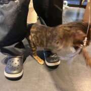 ヒメ日記 2025/08/25 23:43 投稿 ゆに【FG系列】 フィーリングin厚木【FG系列】