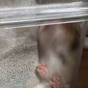 ヒメ日記 2025/09/08 21:56 投稿 ゆに【FG系列】 フィーリングin厚木【FG系列】