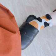 ヒメ日記 2025/10/14 00:13 投稿 ゆに【FG系列】 フィーリングin厚木【FG系列】