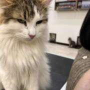 ヒメ日記 2025/10/21 22:53 投稿 ゆに【FG系列】 フィーリングin厚木【FG系列】