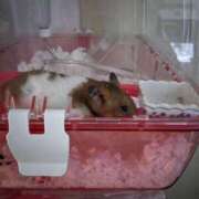 ヒメ日記 2025/10/29 02:19 投稿 ゆに【FG系列】 フィーリングin厚木【FG系列】