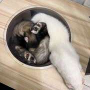 ヒメ日記 2025/11/26 20:42 投稿 ゆに【FG系列】 フィーリングin厚木【FG系列】