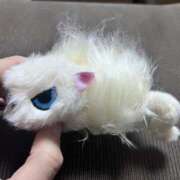 ヒメ日記 2025/11/27 23:00 投稿 ゆに【FG系列】 フィーリングin厚木【FG系列】