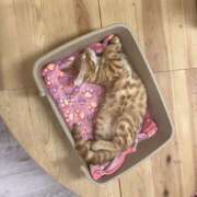 ゆに【FG系列】 出勤！ フィーリングin厚木【FG系列】