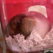 ヒメ日記 2025/12/10 23:19 投稿 ゆに【FG系列】 フィーリングin厚木【FG系列】