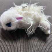 ゆに【FG系列】 無くしちゃった🥲 フィーリングin厚木【FG系列】