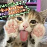 ヒメ日記 2026/07/11 11:37 投稿 みさき 岐阜岐南各務原ちゃんこ