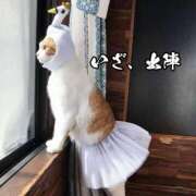 ヒメ日記 2026/07/16 17:17 投稿 みさき 岐阜岐南各務原ちゃんこ
