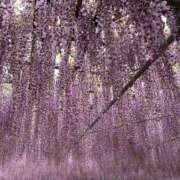 ヒメ日記 2026/05/08 08:54 投稿 モナ★エロスな恋人 BITEKI