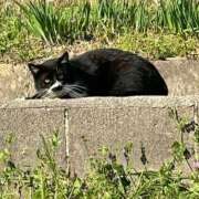 ヒメ日記 2026/07/28 09:45 投稿 モナ★エロスな恋人 BITEKI