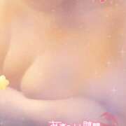 ヒメ日記 2025/03/19 12:07 投稿 のん 秋葉原 添い寝女子