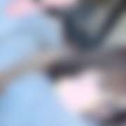 ヒメ日記 2026/03/15 21:30 投稿 のん 秋葉原 添い寝女子