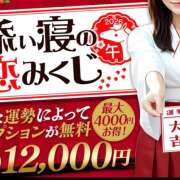 ヒメ日記 2026/01/24 22:46 投稿 のん かりんと秋葉原