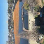 ヒメ日記 2026/03/11 22:37 投稿 のん かりんと秋葉原