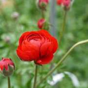 ヒメ日記 2025/03/12 12:07 投稿 ツムギ★大人可愛い愛人系 BITEKI