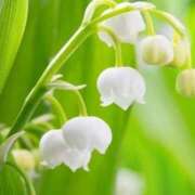 ヒメ日記 2025/03/13 09:44 投稿 ツムギ★大人可愛い愛人系 BITEKI