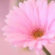 ヒメ日記 2025/03/23 10:45 投稿 ツムギ★大人可愛い愛人系 BITEKI