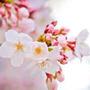 ヒメ日記 2025/03/25 15:06 投稿 ツムギ★大人可愛い愛人系 BITEKI