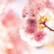 ヒメ日記 2025/03/27 11:00 投稿 ツムギ★大人可愛い愛人系 BITEKI