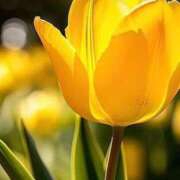 ヒメ日記 2025/03/28 10:55 投稿 ツムギ★大人可愛い愛人系 BITEKI