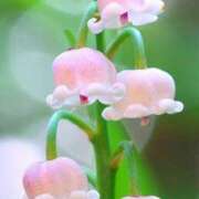 ヒメ日記 2025/03/31 14:33 投稿 ツムギ★大人可愛い愛人系 BITEKI