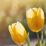 ヒメ日記 2025/04/01 10:45 投稿 ツムギ★大人可愛い愛人系 BITEKI