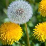 ヒメ日記 2025/04/04 15:08 投稿 ツムギ★大人可愛い愛人系 BITEKI